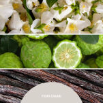 Millefiori Fiori Chiari 500 ml – dyfuzor zapachowy z patyczkami - 3