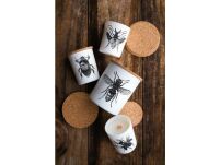 Lucanus Cervus - Vila Hermanos -  świeca zapachowa 75g - seria Insect Collection - 2