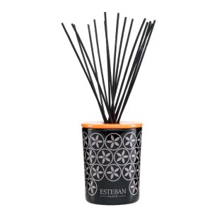 Dekoracyjna pusta karafka z pałeczkami - Esteban Paris - 100ml