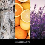 Sandalo Bergamotto - Orange - Millefiori - Zapach do samochodu 