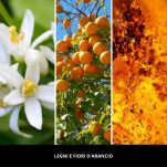 Legni E Fiori D'Arancio- Millefiori- dyfuzor zapachowy z patyczkami 500 ml- seria Natural - 4