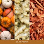 Golden Pumpkin - Yankee Candle Signature - mini świeca zapachowa  - 3