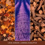 Autumn Daydream - Yankee Candle Signature - mini świeca zapachowa - 2