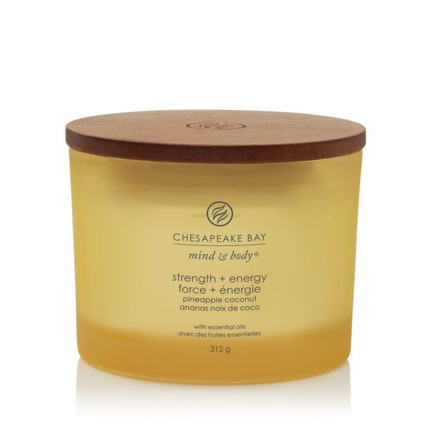 Strength & Energy - Chesapeake Bay Candle - duża świeca zapachowa z 3 knotami