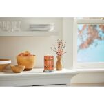 Cinnamon Stick - Yankee Candle Signature -  świeca tumbler z dwoma knotami - 2