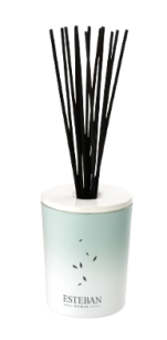 Dekoracyjna pusta karafka z pałeczkami - Esteban Paris - 100ml