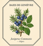 Vila Hermanos Exotic Moss - perfumowana mgiełka do ciała i włosów 250 ml - 2