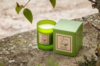 Thyme Tomillo - Vila Hermanos - świeca zapachowa 190g - seria Aromathologie - 2