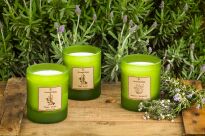 Thyme Tomillo - Vila Hermanos - świeca zapachowa 190g - seria Aromathologie - 3