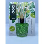 Mojito - Absolu - Goa - Dyfuzor zapachowy 200ml - 2