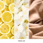 Fresh Air - Mr & Mrs Fragrance - Zawieszka zapachowa CESARE - 3