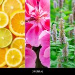 Oriental - Mr & Mrs Fragrance - zapach odświeżacz do samochodu NIKI - 2