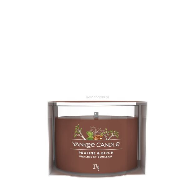 Praline & Birch - Yankee Candle Signature - świeca mini