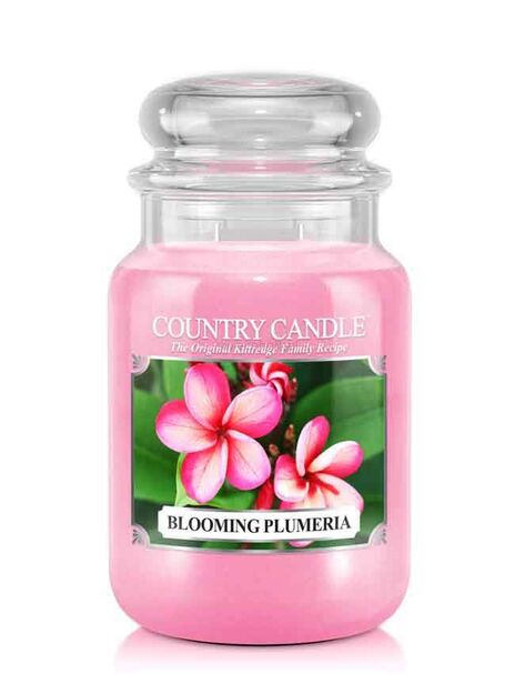 Blooming Plumeria - Country Candle - duża świeca zapachowa