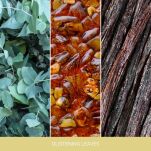 Glistening Leaves - Yankee Candle Signature - mini świeca zapachowa  - 3