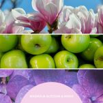 Magnolia Blossom & Wood  Millefiori - uzupełniacz 250ml do pałeczek zapachowych - 2