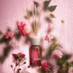 Ambra & Rosa - Millefiori - dyfuzor zapachowy z patyczkami 250ml  - 4