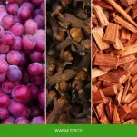 Warm Spicy - Mr & Mrs Fragrance - zapach odświeżacz do samochodu CESARE - 3