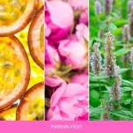 Passion Fruit - Mr & Mrs Fragrance - zapach odświeżacz do samochodu GIGI - 2