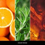 Cedar Wood - Mr & Mrs Fragrance - Zawieszka zapachowa CESARE - 3