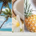 Coconut Beach - Yankee Candle Signature - średnia świeca z dwoma knotami  - 3
