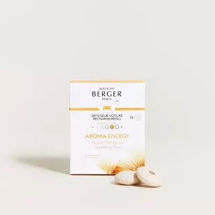 Maison Berger Aroma Energy - wkład zapachowy do dyfuzora samochodowego 2 szt.