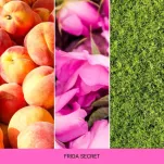 Frida Secret - Mr & Mrs Fragrance - zapach odświeżacz do samochodu ANDY&FRIDA - 2