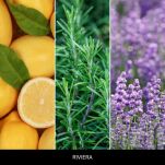 Riviera - Millefiori - dyfuzor zapachowy z patyczkami 250ml  - 3