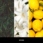 Millefiori  Oxygen 500 ml – uzupełniacz do lampy katalitycznej - 2