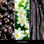 Millefiori Fiori di Perla 250 ml - płyn zapachowy do prania Laundry - 2