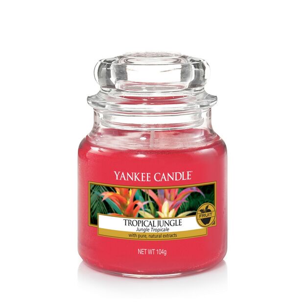 Tropical Jungle Yankee Candle - Świeca mała