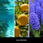 Millefiori Blue Posidonia 250 ml – dyfuzor zapachowy z patyczkami - 3