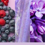 Summit Stargazing - Yankee Candle Signature - mini świeca zapachowa  - 3