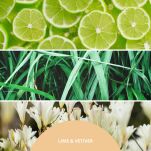 Lime & Vetiver - Millefiori Milano - dyfuzor pałeczki zapachowe 250 ml - 2