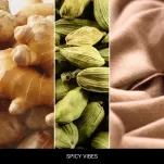 Spicy Vibes - Mr & Mrs Fragrance - zapach odświeżacz do samochodu ANDY&FRIDA - 2