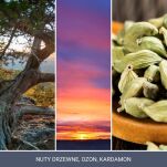 Twilight Tunes - Yankee Candle Signature - średnia świeca z dwoma knotami - 3