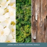 Magical Bright Lights - Yankee Candle Signature - wosk zapachowy - 2