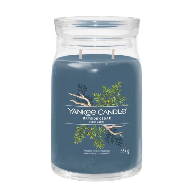 Bayside Cedar - Yankee Candle Signature - duża świeca z dwoma knotami - nowość 2022