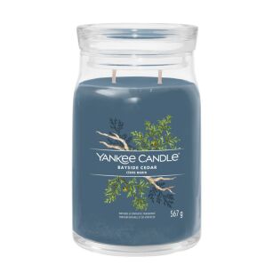 Bayside Cedar - Yankee Candle Signature - duża świeca z dwoma knotami