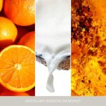 Woodland Weekend Memories - Yankee Candle Signature - mini świeca zapachowa  - 2