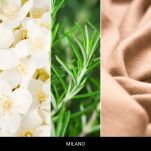 Milano (Spicy Woods) - Mr & Mrs Fragrance - zapach odświeżacz do samochodu ONE! - 2