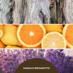 Sandalo Bergamotto - Millefiori- Milano - uzupełniacz do pałeczek zapachowych 250 ml - 2