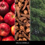 Mela & Canella - Millefiori - dyfuzor zapachowy z patyczkami 100ml  - 2